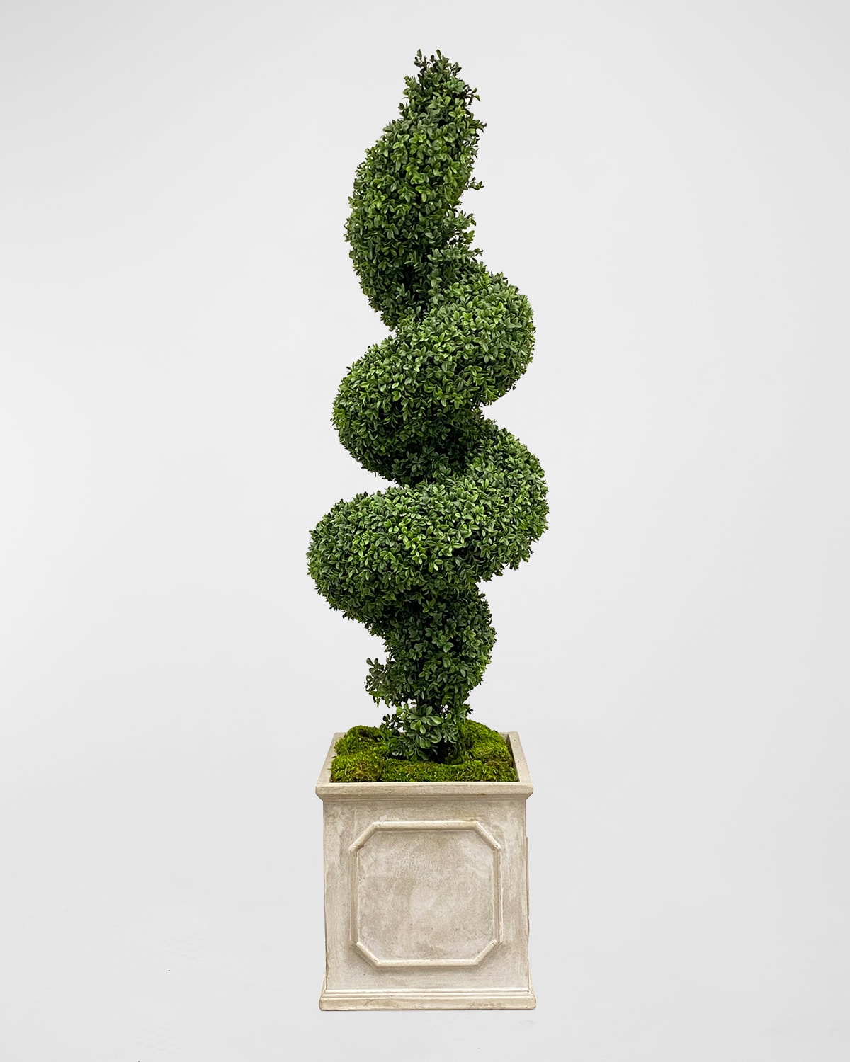 Winward Home Spiral Boxwood Faux Topiary in Square Planter - 65" | Thumbnail 5 Winward Home Spiral Boxwood Faux Topiary in Square Planter - 65" | Thumbnail 5
