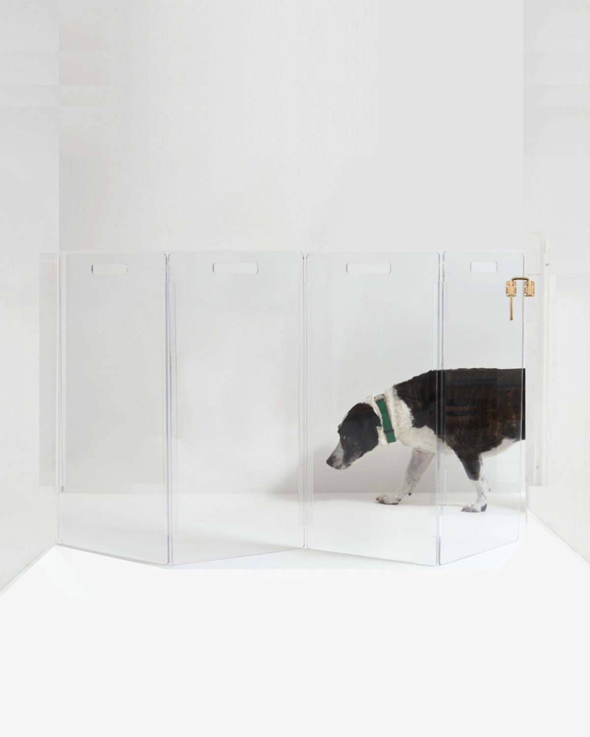 HIDDIN Clear Wall-Mounted Zig-Zag Pet Gate, 4-Panel