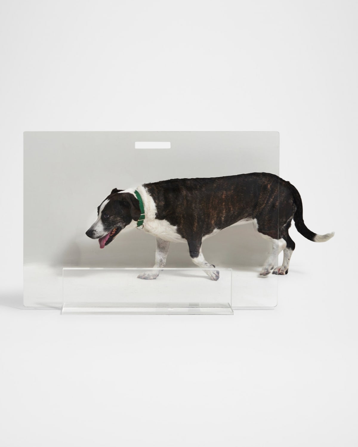 HIDDIN Clear Free-Standing Pet Gate Panel, 36"