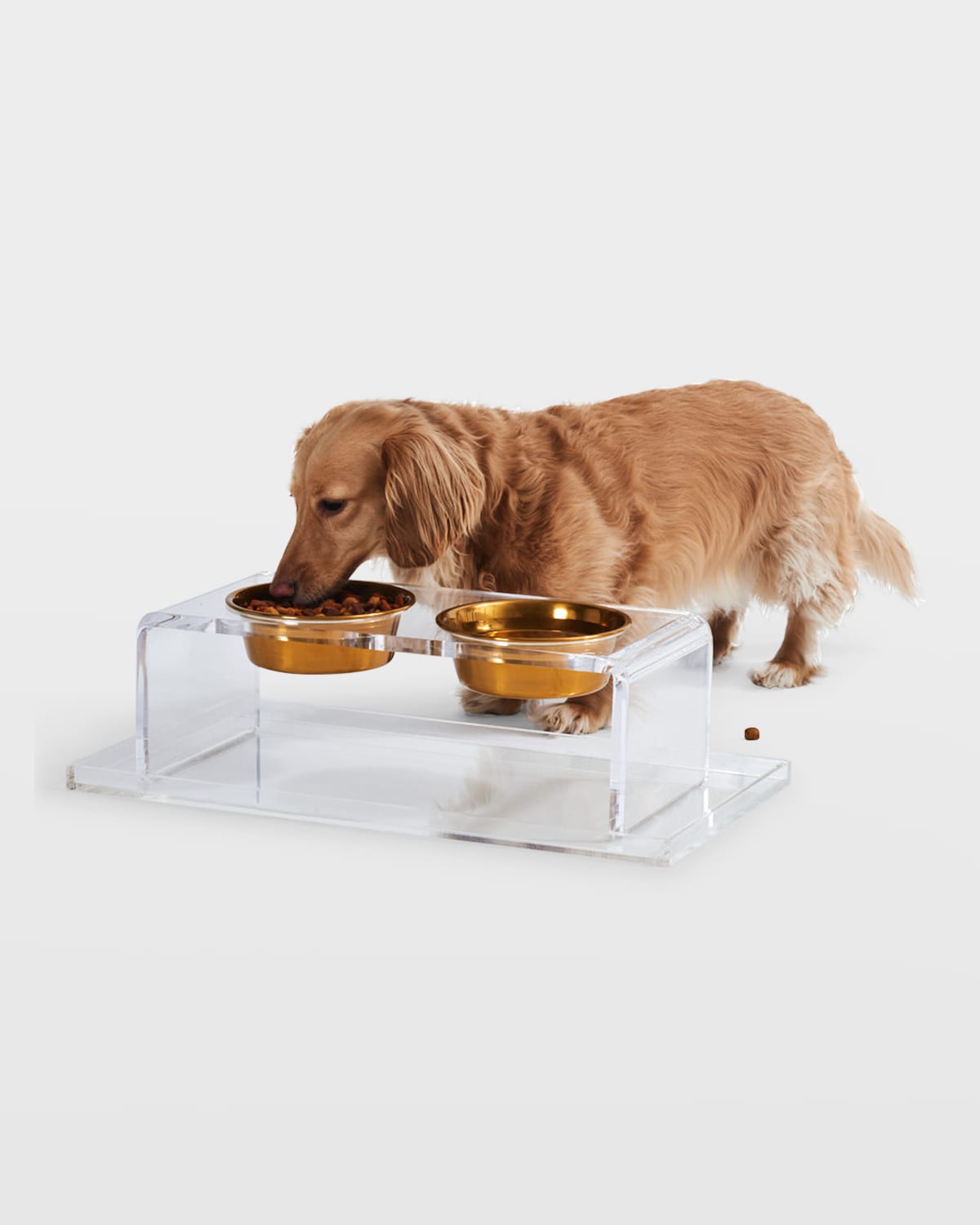 HIDDIN Small Clear Double Pet Bowl Feeder with 1 Pint Gold Bowls