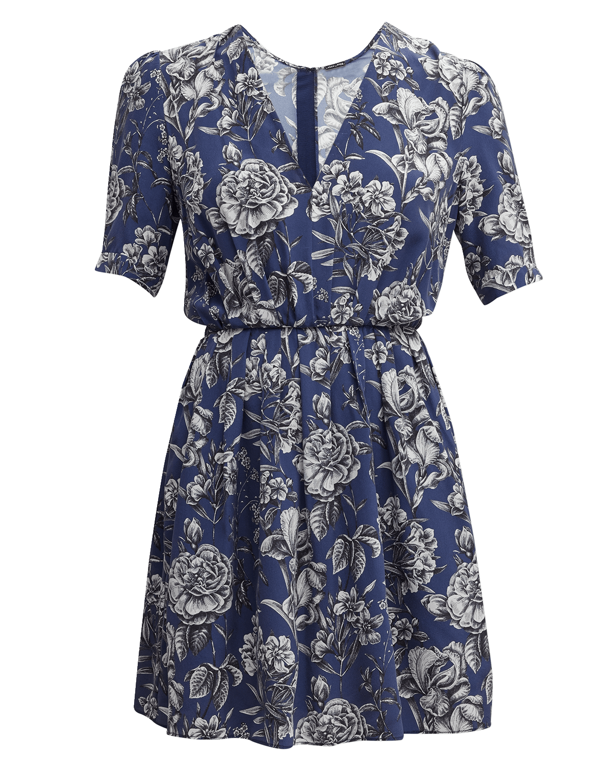 Adam Lippes Floral-Print V-Neck Pleated Voile Mini Dress