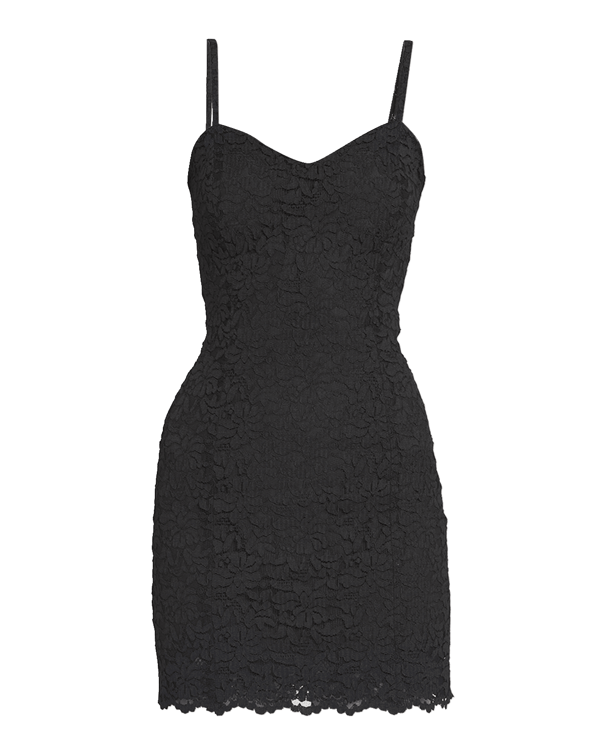 dolce and gabbana logo low top sneakers