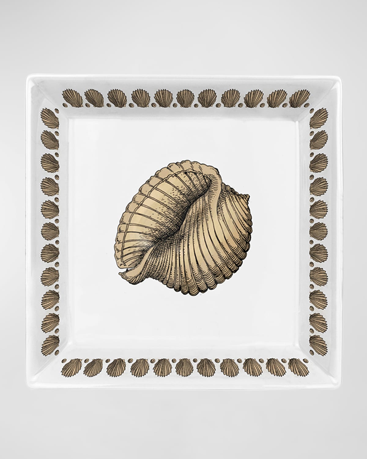 Fornasetti Square Plate 20 x 20cm - Giro Di Conchiglie Gold Black White