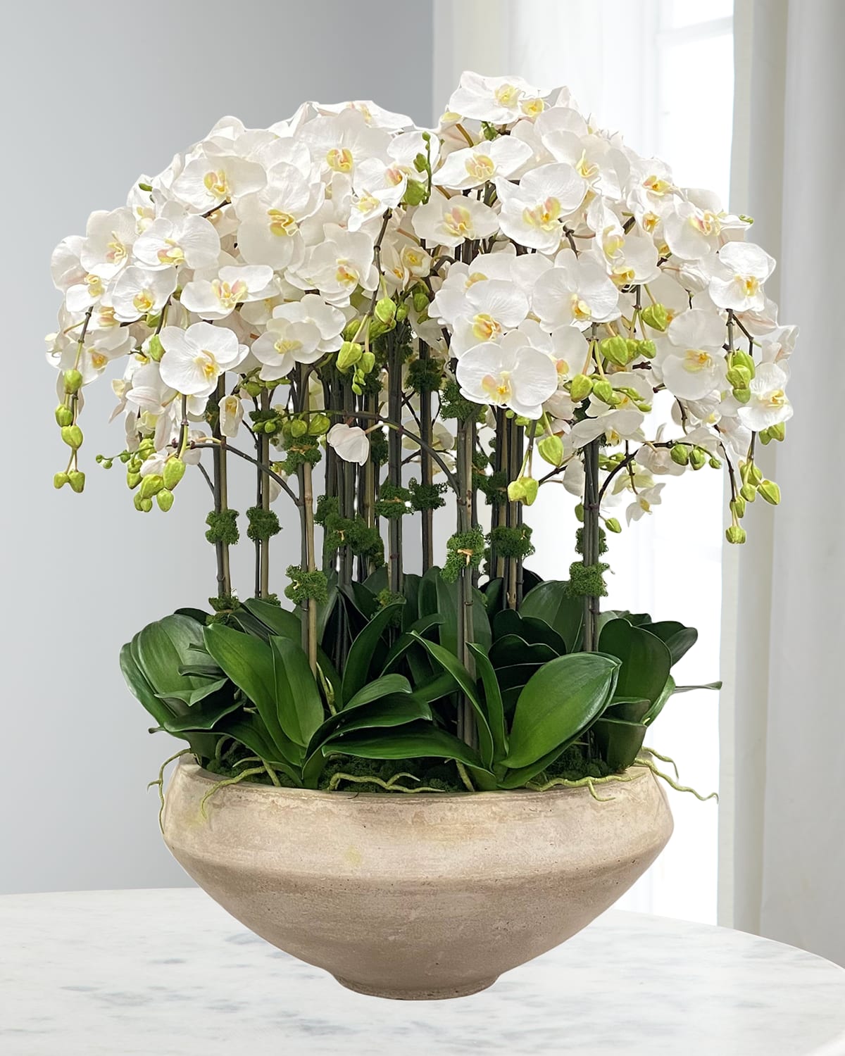 Winward Home Orchid Arrangement in Tapered Bowl | Thumbnail 4 Winward Home Orchid Arrangement in Tapered Bowl | Thumbnail 4