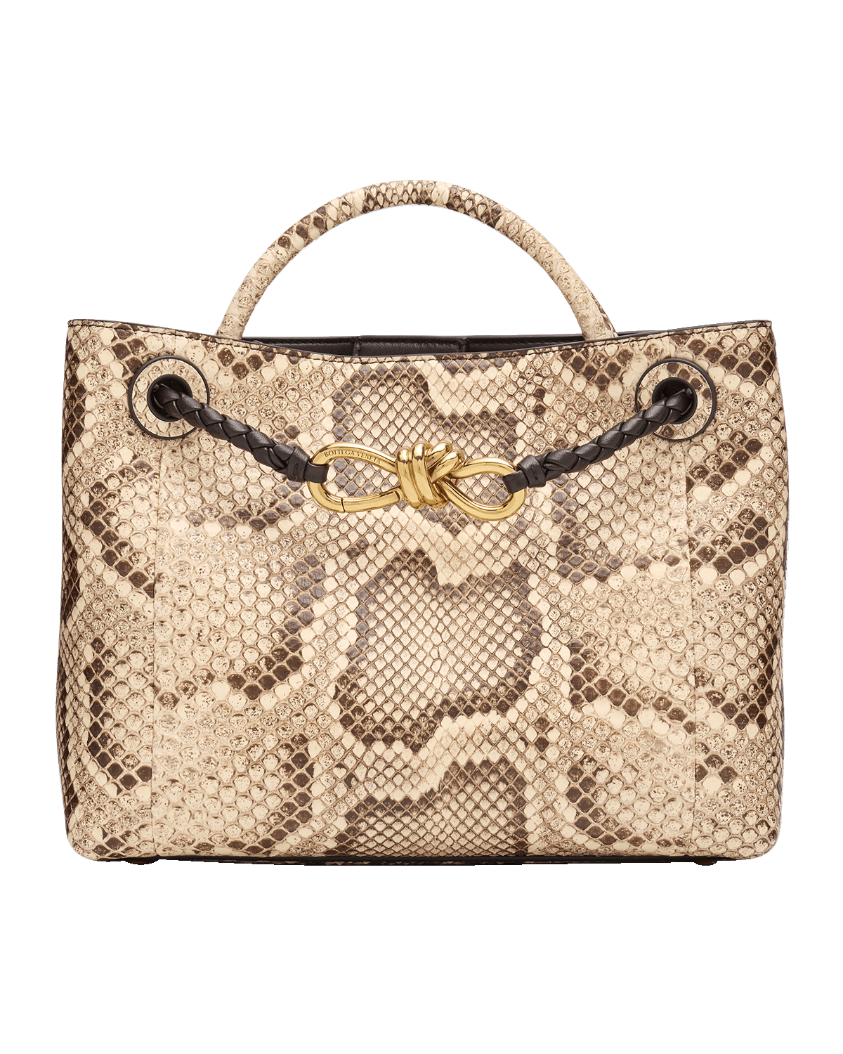 Bottega Veneta Small Andiamo Python Tote Bag