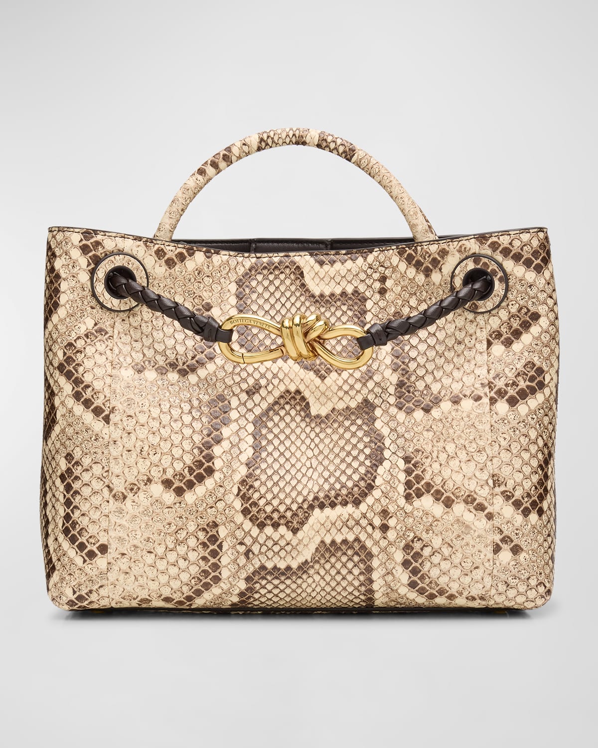 Bottega Veneta Small Andiamo Python Tote Bag