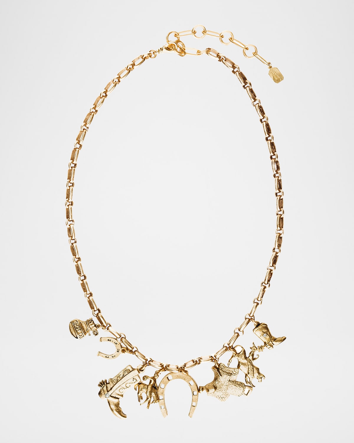 Elizabeth Cole Dakota Charm Necklace