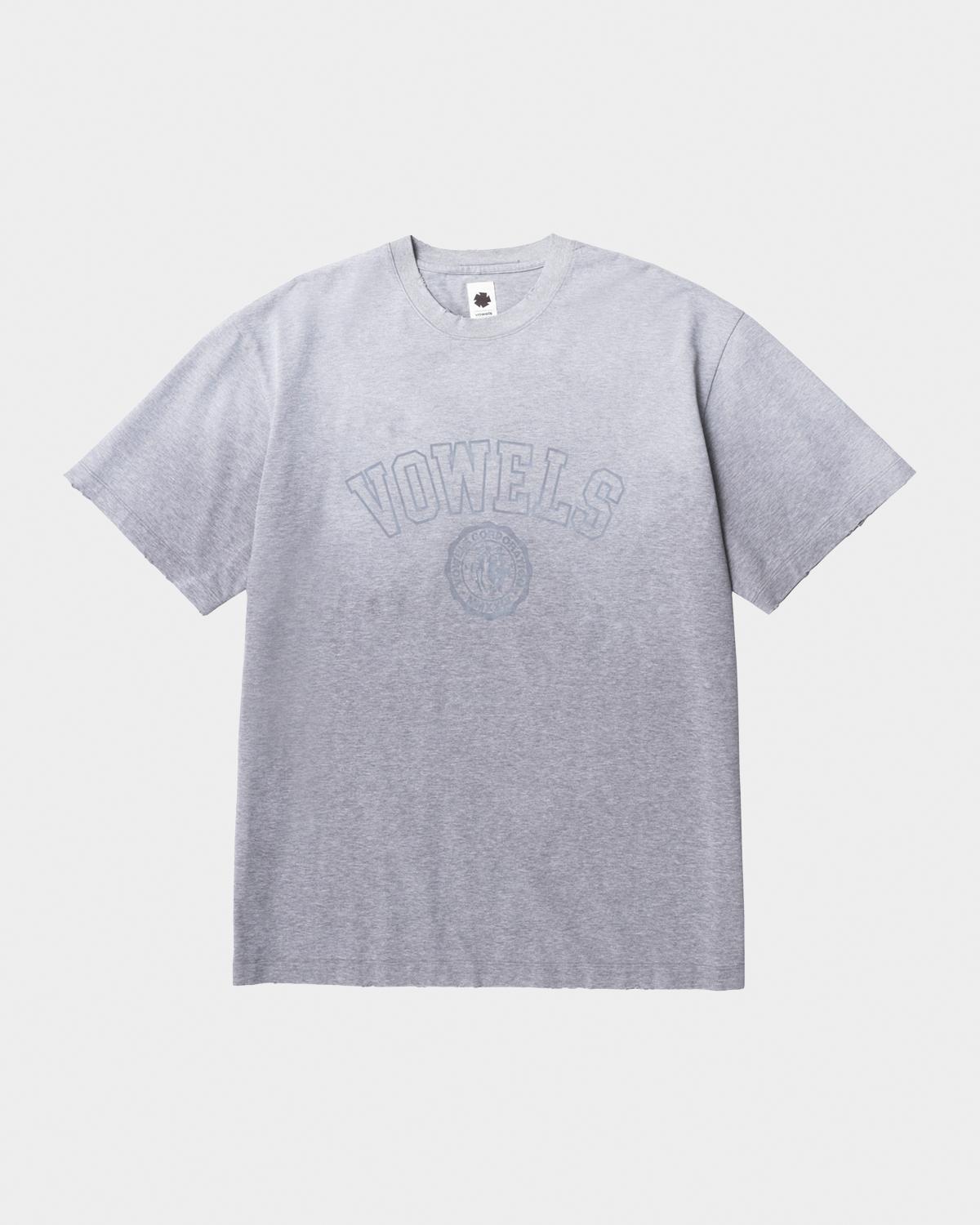 vowels Men's Faded Collegiate Tee