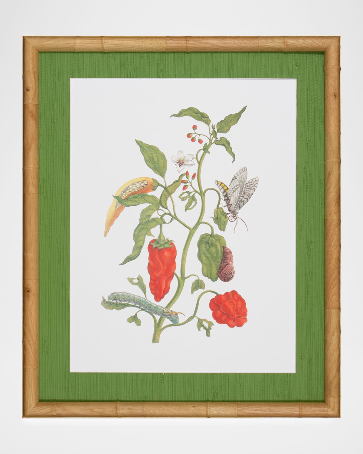 Shadow Catchers "Classic Botanical II" Framed Giclee | Thumbnail 4 Shadow Catchers "Classic Botanical II" Framed Giclee | Thumbnail 4
