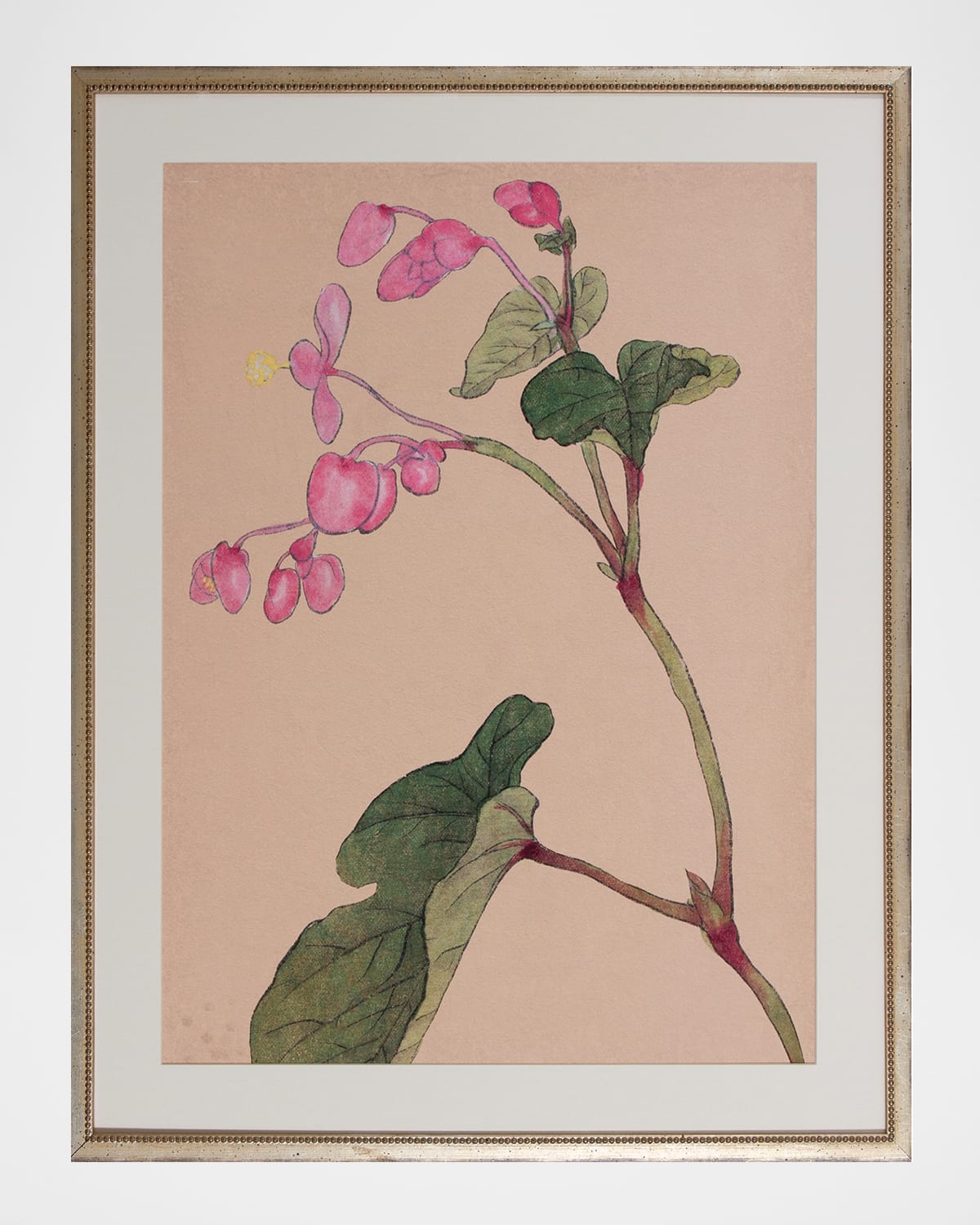 Shadow Catchers "Enchanting Bloom VII" Framed Giclee | Thumbnail 4 Shadow Catchers "Enchanting Bloom VII" Framed Giclee | Thumbnail 4