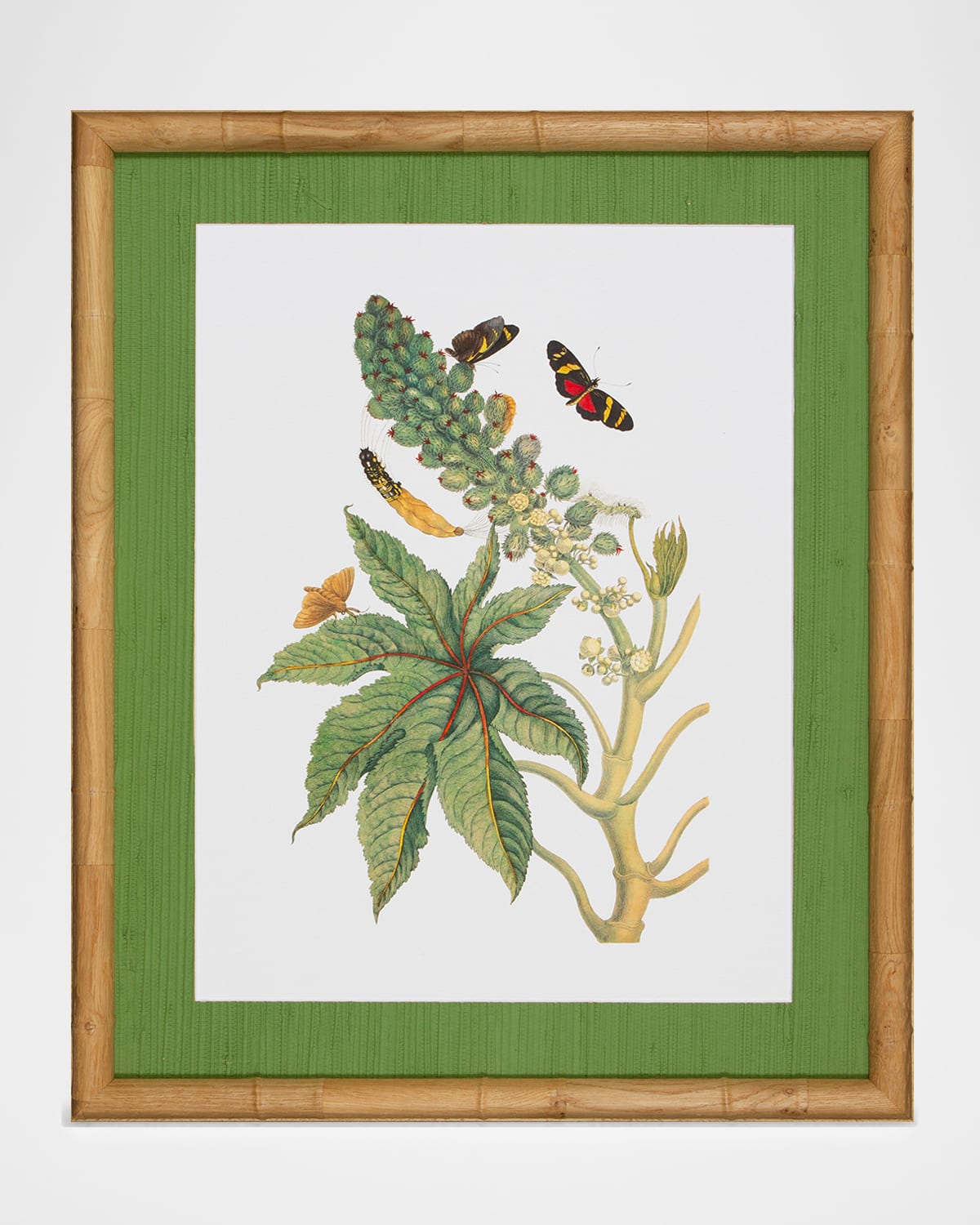 Shadow Catchers "Classic Botanical VII" Framed Giclee | Thumbnail 4 Shadow Catchers "Classic Botanical VII" Framed Giclee | Thumbnail 4