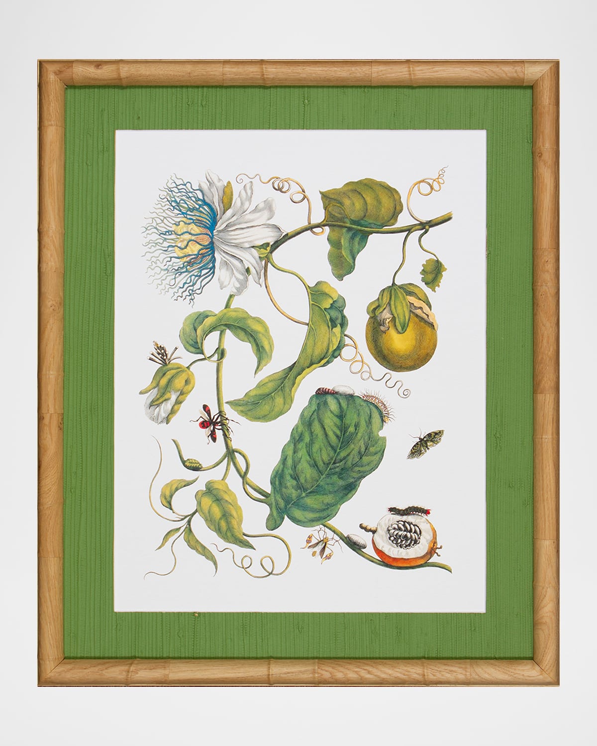 Shadow Catchers "Classic Botanical X" Framed Giclee | Thumbnail 4 Shadow Catchers "Classic Botanical X" Framed Giclee | Thumbnail 4