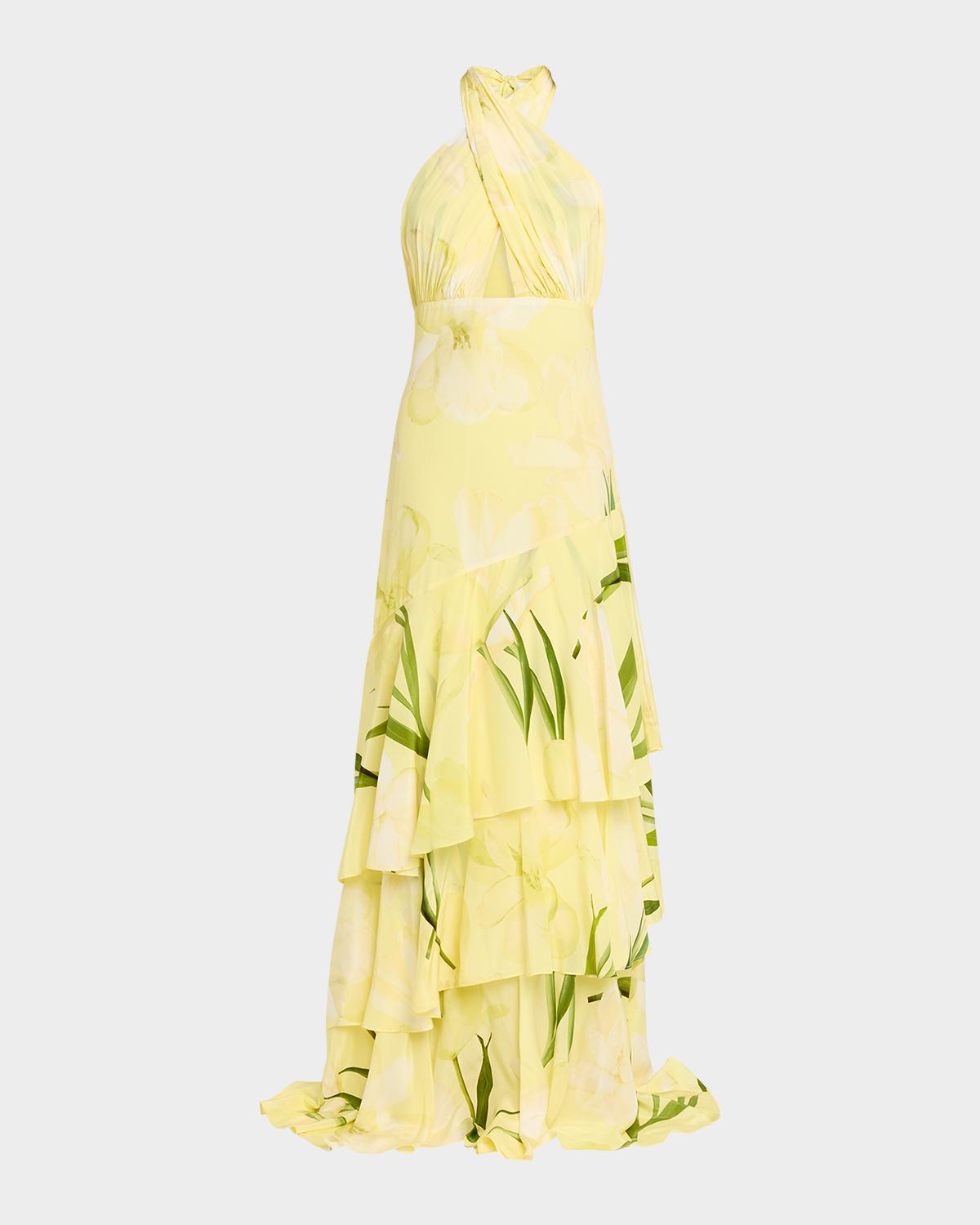Cara Cara Amethyst Printed Tiered Silk Gown