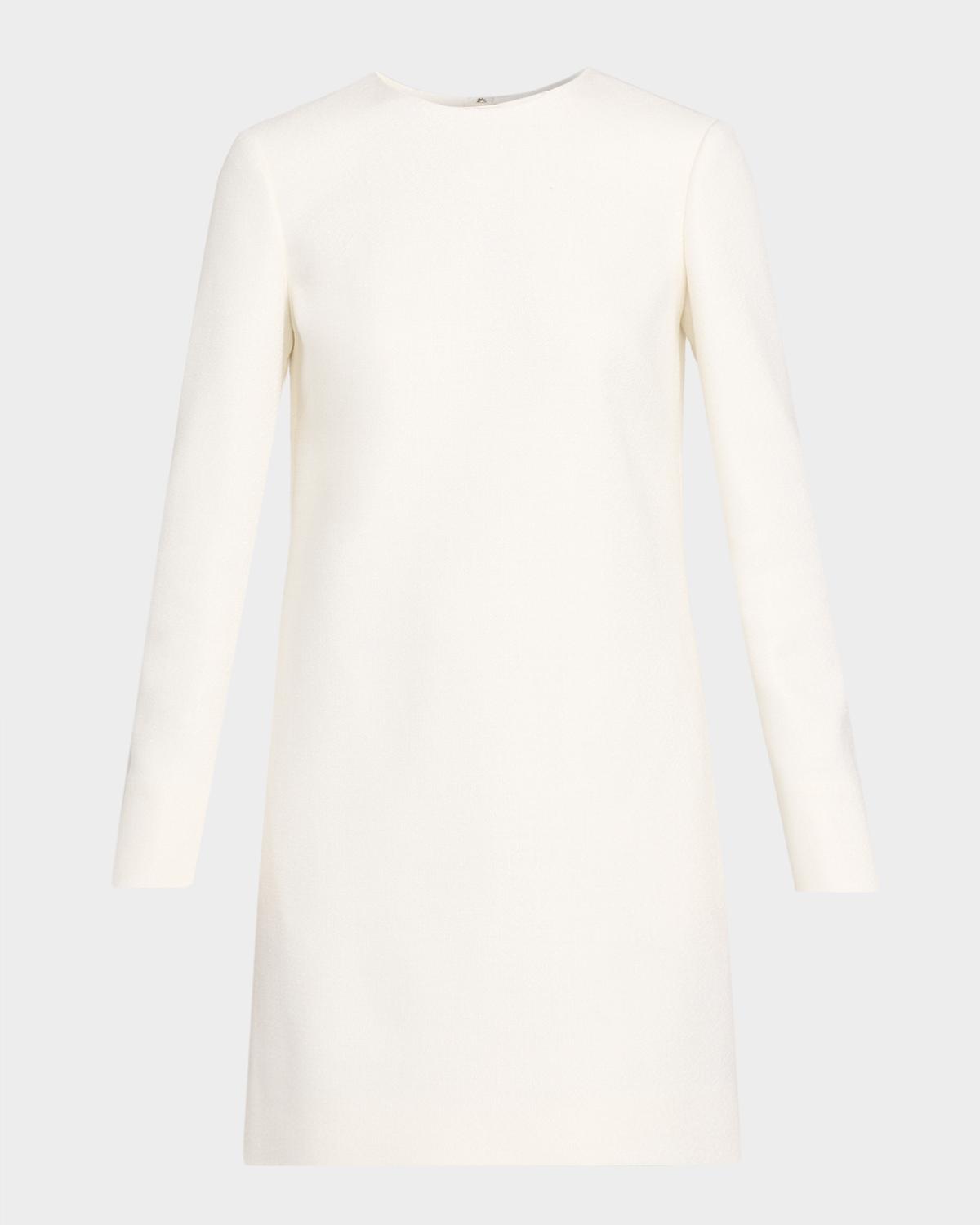 Adam Lippes Tilley Long-Sleeve Mini Dress