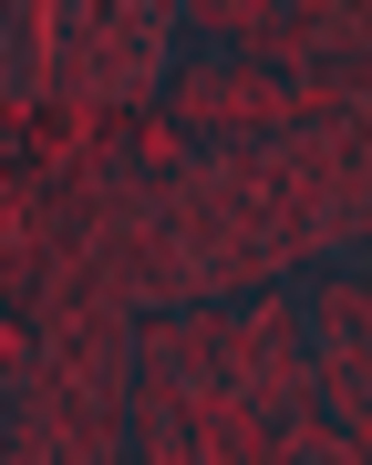 Canali Men 's Oversized Paisley Silk Jacquard Tie | Thumbnail 3