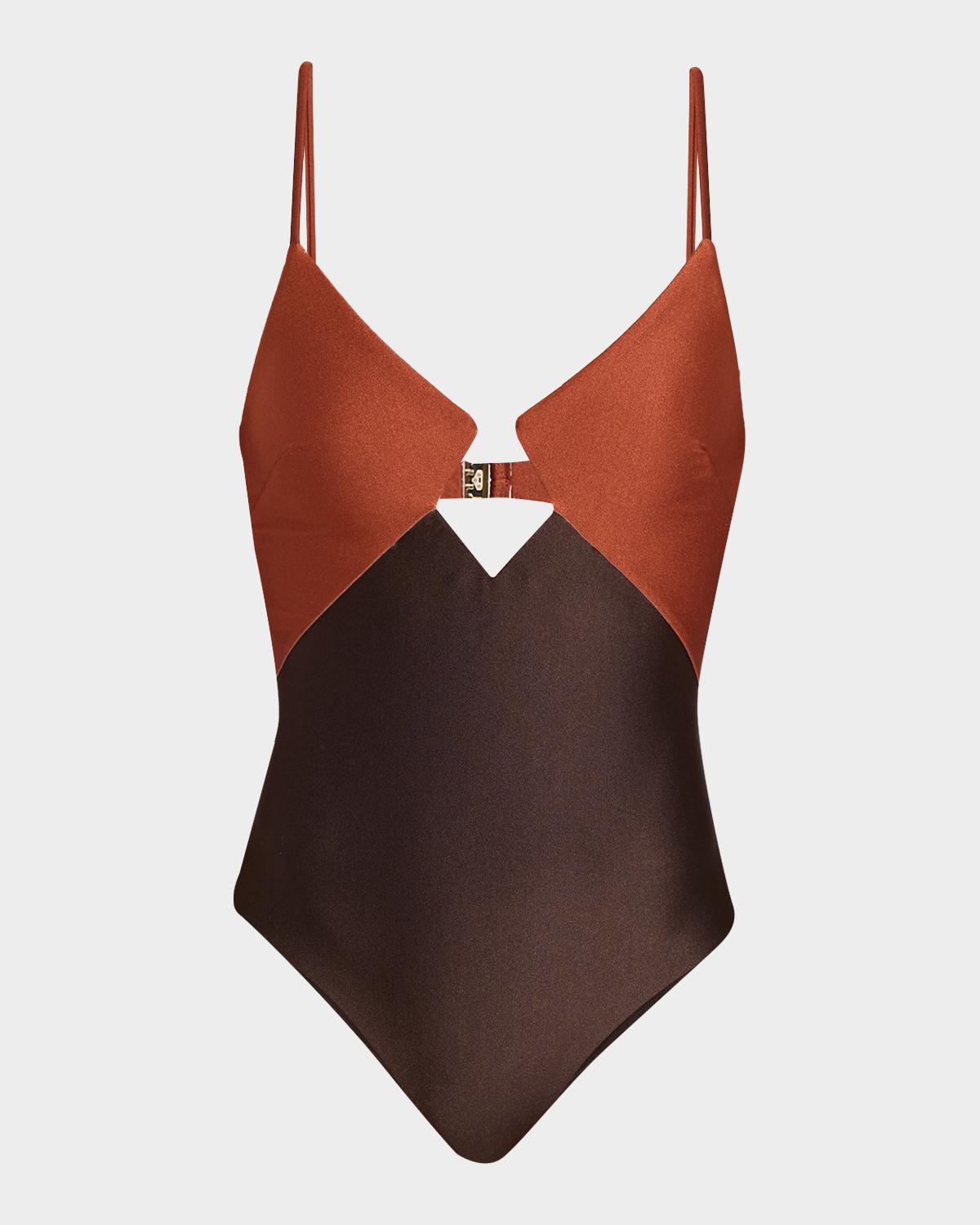 Aster Diamond One-Piece Swimsuit