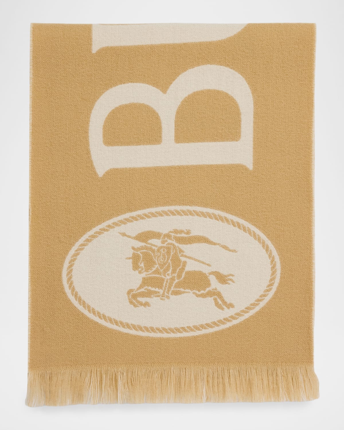 Burberry Men & Apos;s Knight Stamp Wool Fringe Scarf In Brown
