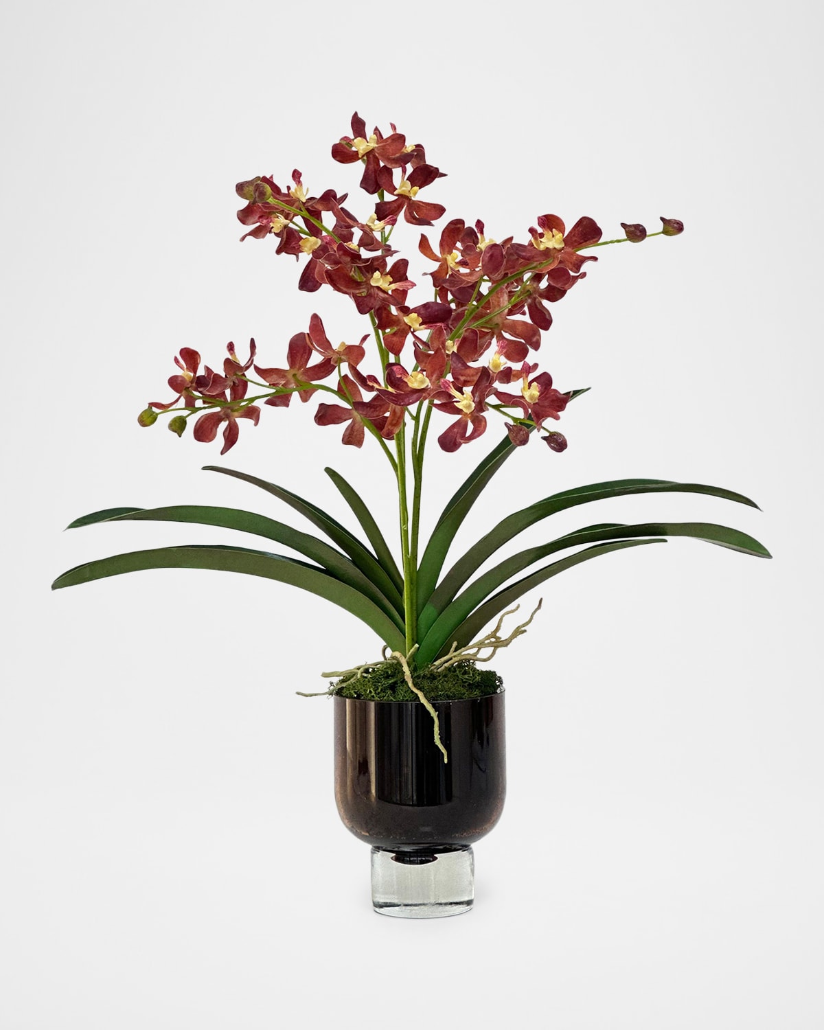 Winward Home Vanda Lamellata Orchids 23" Faux Plant in Glass Vase | Thumbnail 4