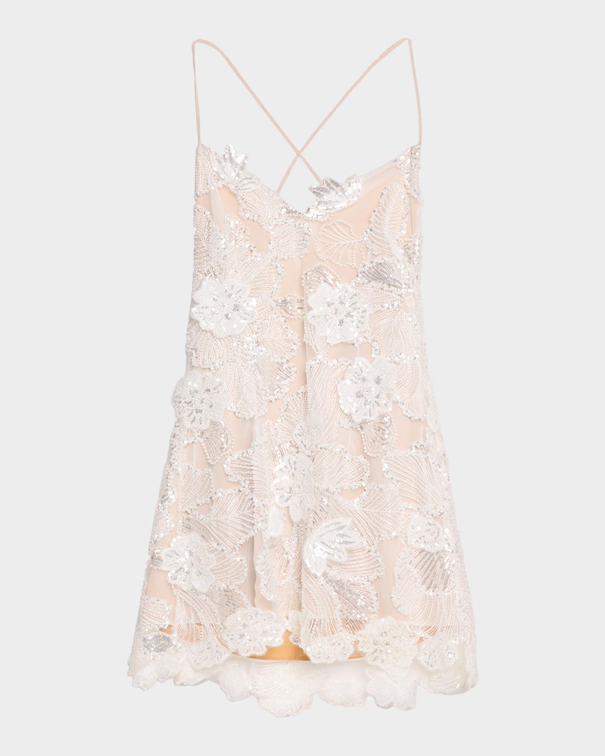 HELSI Renee Floral Embroidered Mini Dress