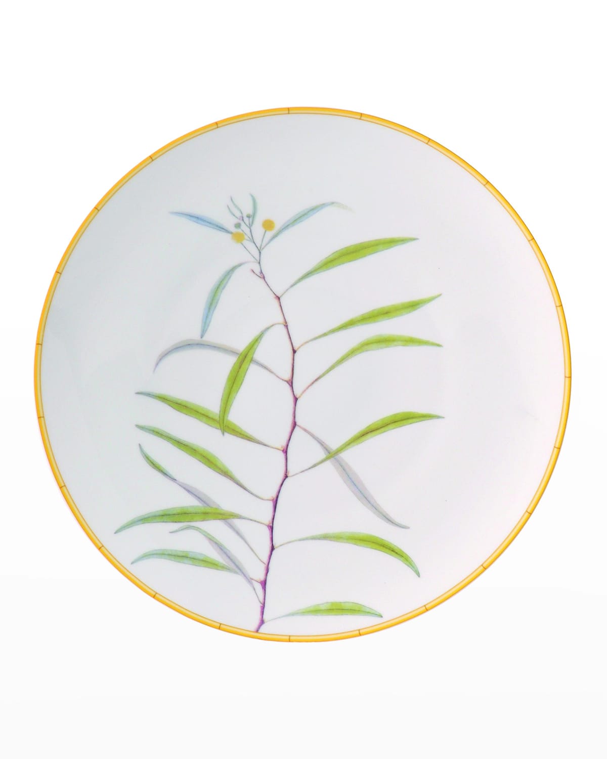 Bernardaud Jardin Indien Dinner Plate