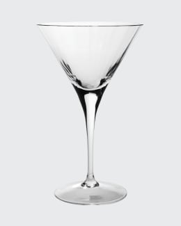 Stainless Steel Martini Gift Set - 2 Large Martini Glasses and Shaker –  Icydeals