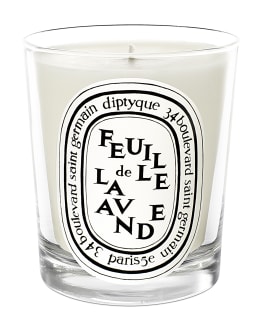 Diptyque 6.5 oz baies scented candle best sale