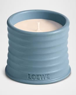 LOEWE アイビーキャンドルスモール アイビー キャンドル スモール ピンク - LOEWE