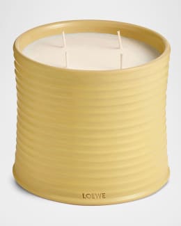 LOEWE キャンドル　mimosa 新品 ミモザ フレグランスキャンドル イエロー - LOEWE