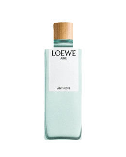 Loewe 101 perfume 2025