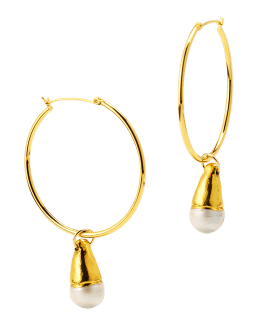 Alexis Bittar Molten Lucite Hoop Drop Earrings - Gold/Clear