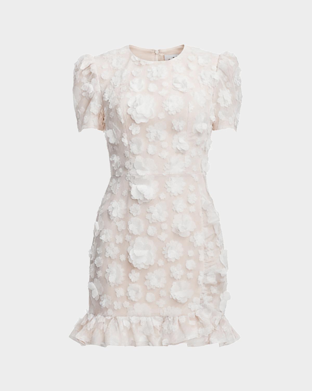 Brittany Embroidered Floral Applique Mini Dress