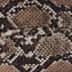 BROWN SNAKESKIN
