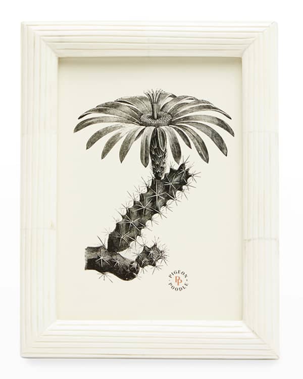 Mariposa Sand Dollar Frame, 5" x 7" Neiman Marcus