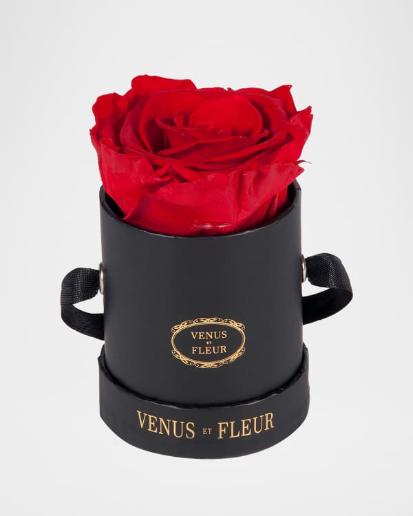 Versace Home Collection Allover Logo Yoga Set | Neiman Marcus