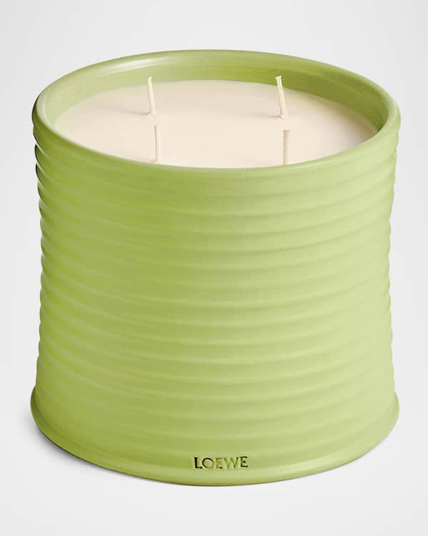 Loewe Dendrochilum Magnum Orchid Scented Candle, 5.8 oz. | Neiman