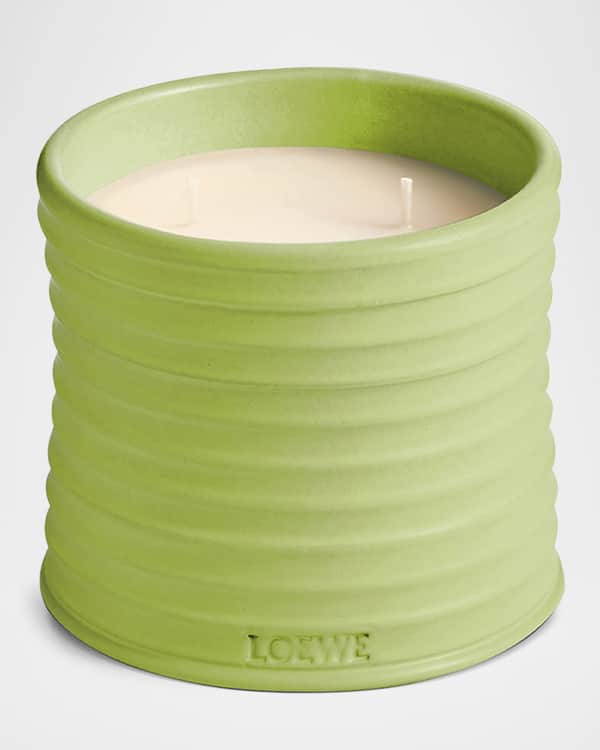 Loewe Dendrochilum Magnum Orchid Scented Candle, 5.8 oz. | Neiman