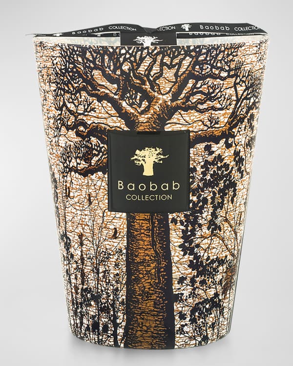 Baobab Collection Max 16 Cities Roma Scented Candle | Neiman
