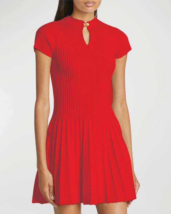 Boutique embroidered sale organza skater dress
