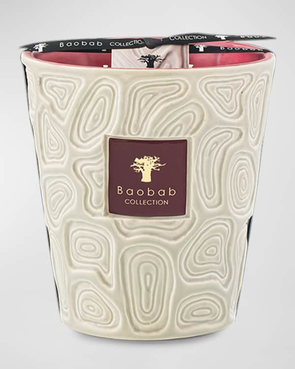 キャンドル Baobab Collection candle Cities Roma SCENTED CANDLE MY FIRST BAOBAB ROMA – Baobab Collection