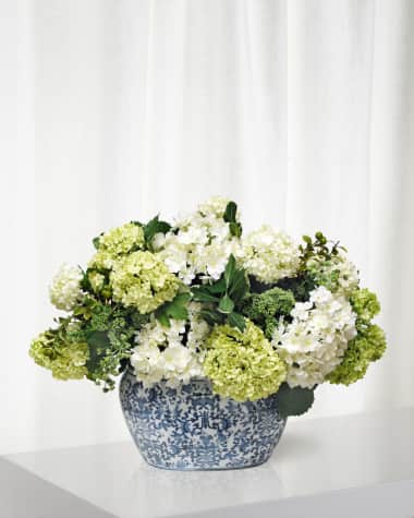 Winward Home Hydrangea in Oval Planter