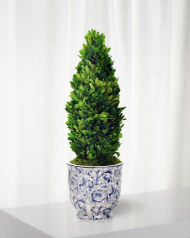 Winward Home Boxwood Cone Topiary in Cache Pot