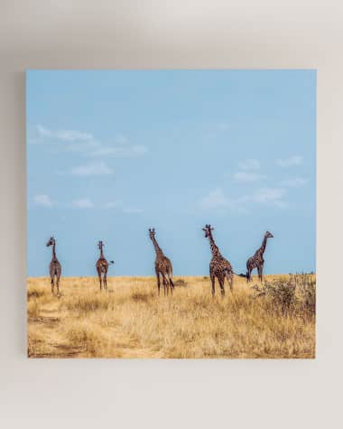 Four Hands "Walk Away" Photography Print on Maple Box Framed Wall Art