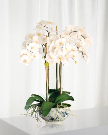 Winward Home Phalaenopsis in Rose Trellis Bowl