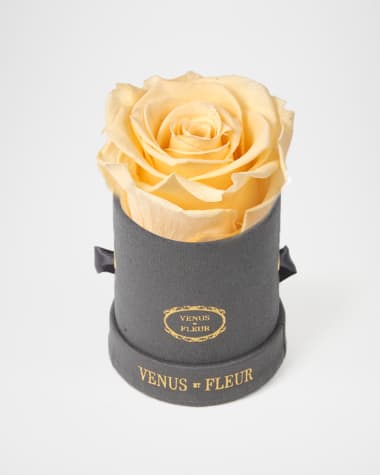 Venus ET Fleur Suede Mini Round Rose Box