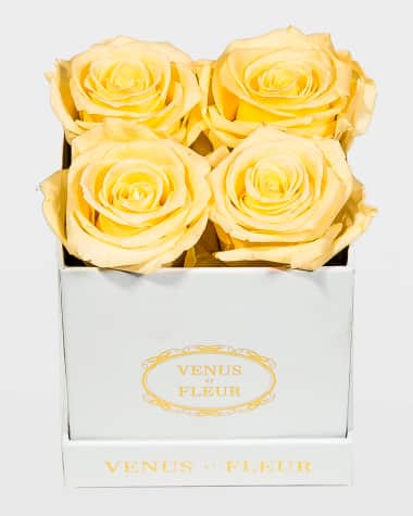 Venus ET Fleur Classic Petite Square Rose Box