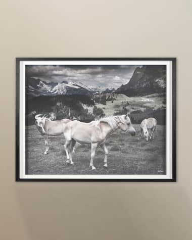 Grand Image Home "Horses in Europe" Archival Digital Print by Chris Dunker