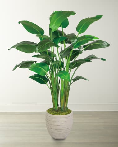 Winward Home Travelers Large Palm in Pot