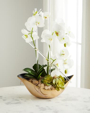 John-Richard Collection Cambridge Orchid Arrangement