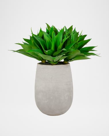 Winward Home 36" Aloe in Stonecast Planter