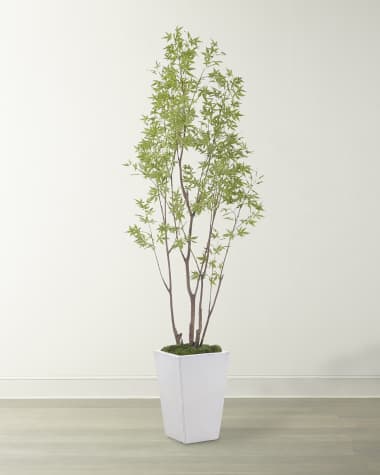 John-Richard Collection Amur Maple Tree in Ceramic Planter